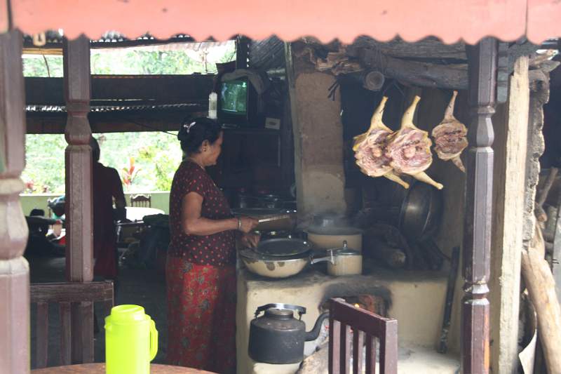 India & Nepal 2011 - 0624